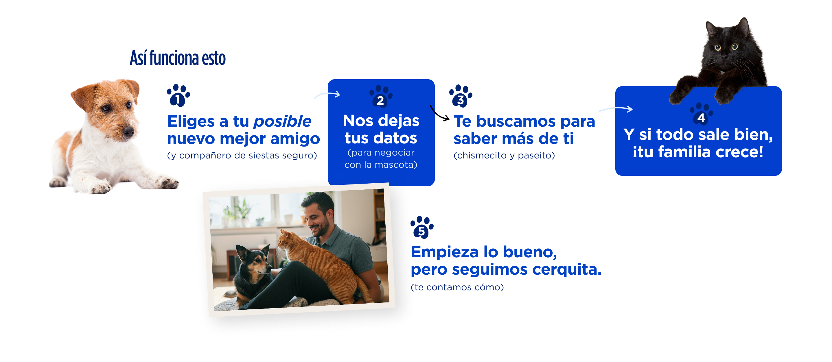 Pasos