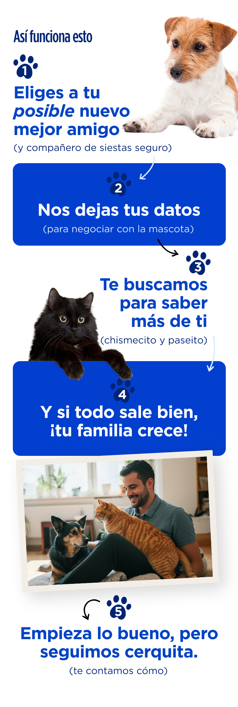 Pasos