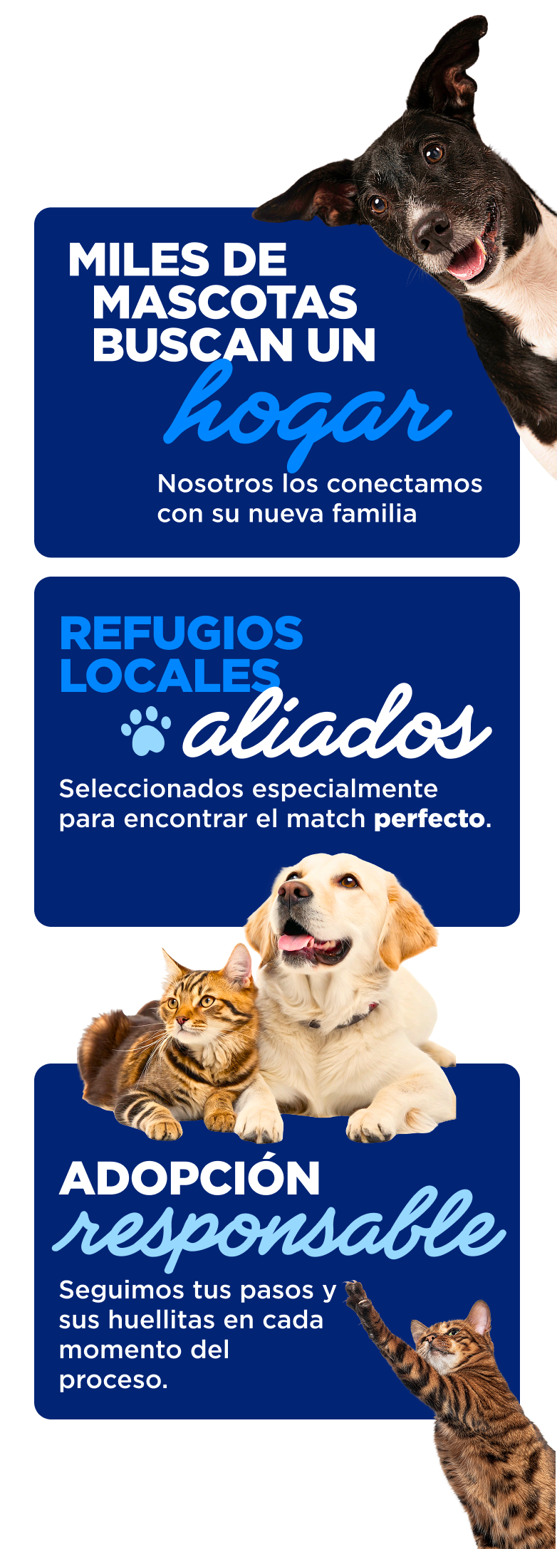 Pasos